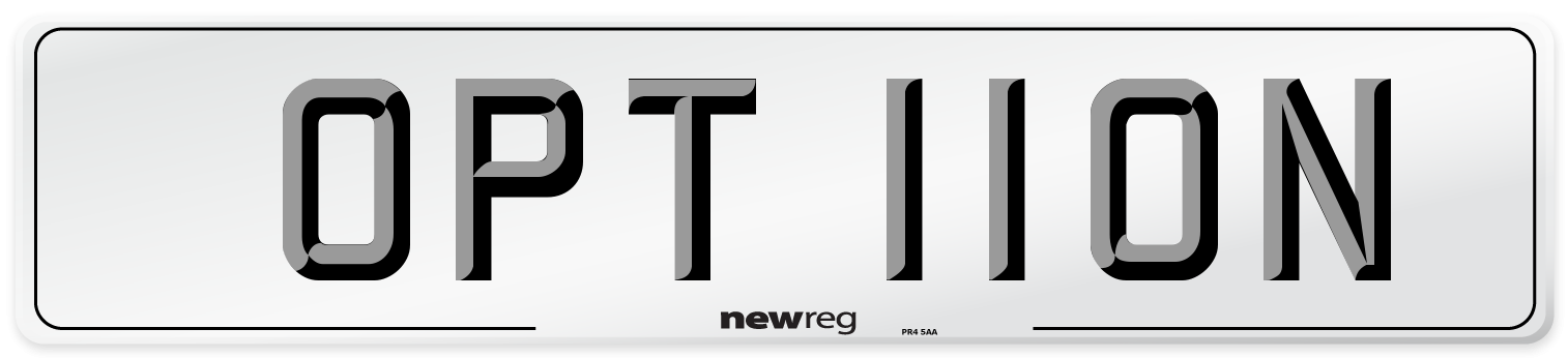 OPT 110N Number Plate from New Reg